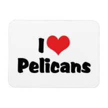 I Love Pelicans Rectangle Magnet