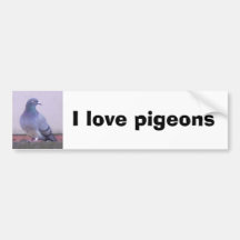 I love pigeons bumper sticker