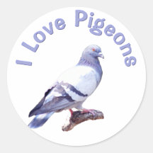 I Love Pigeons Sticker