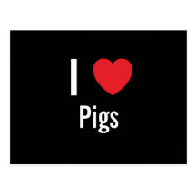 I love Pigs Postcards