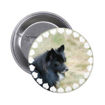 I Love Pomeranians  Button