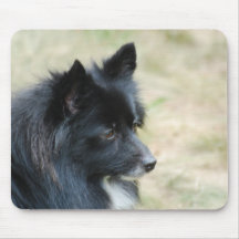I Love Pomeranians  Mouse Pad