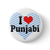 I Love Punjabi Pins