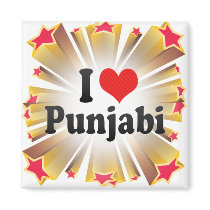 I Love Punjabi Magnets