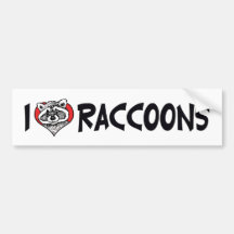 I Love Raccoons Bumper Sticker