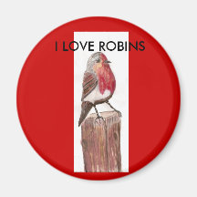 , I LOVE ROBINS Magnet