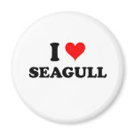 I Love Seagull Massachusetts