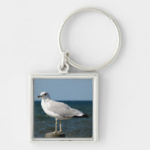 I love Seagulls! Key Chain