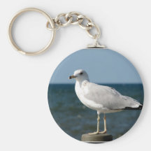 I love Seagulls! Keychains