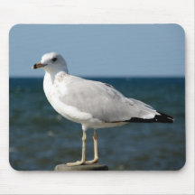 I love Seagulls! Mouse Pad