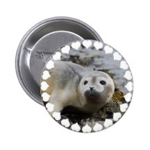 I Love Seals Pin