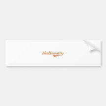 I Love Shallowater Texas Bumper Stickers
