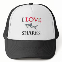 I Love Sharks Hat