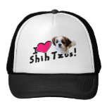 I love Shih Tzus! Hats