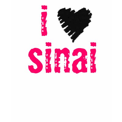 I LOVE SINAI TANK TOP by blaked