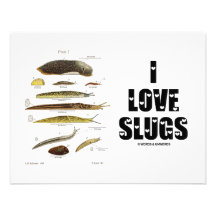 I Love Slugs (Naturalist / Nature) Custom Invite