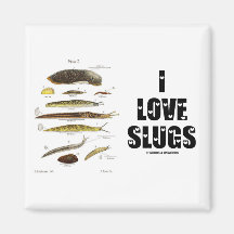 I Love Slugs (Naturalist / Nature) Fridge Magnets