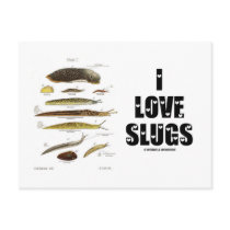 I Love Slugs (Naturalist / Nature)