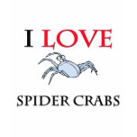 I Love Spider Crabs t-shirts