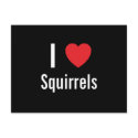 I love Squirrels postcards