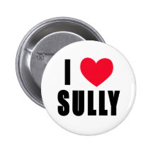 I Love Sully I HEART Sully Button