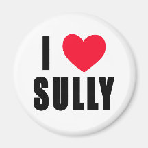 I Love Sully I HEART Sully Fridge Magnets