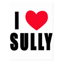 I Love Sully I HEART Sully Post Card