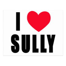 I Love Sully I HEART Sully Postcards