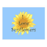 I Love Sunflowers Postcards