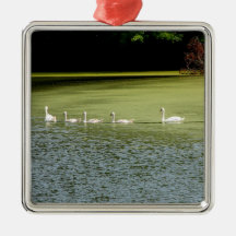 I love swans! christmas tree ornaments
