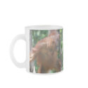 I Love the Rain Forest mugs