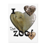I Love the Zoo: Elephant Heart