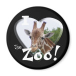 I Love the Zoo: Giraffe Heart