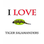 I Love Tiger Salamanders t-shirts