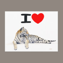 I love Tigers for light postcards