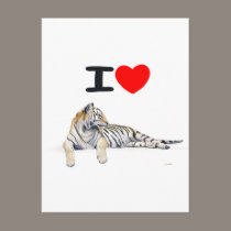 I love Tigers for light postcards