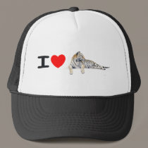 I love Tigers hats