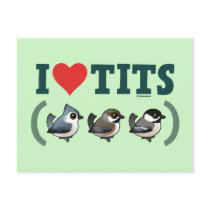 I Love Tits (birds)