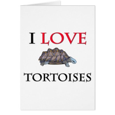 I Love Tortoises Card by tshirtshirts