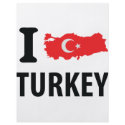 I love turkey contour icon flyers
