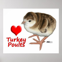I Love Turkey Poults! Print