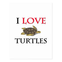 I Love Turtles Post Card