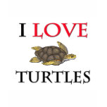 I Love Turtles t-shirts