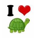 I Love Turtles t-shirts
