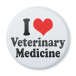 I Love Veterinary Medicine magnets