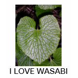 I Love WASABI Shirt clothing wasabi T-shirt