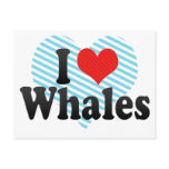 I Love Whales postcards