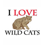 I Love Wild Cats t-shirts