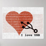 I love with USB Poster