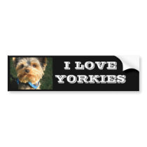 I Love Yorkies Bumper Stickers